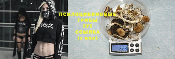 прущая мука Алексин