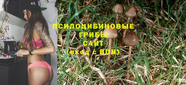 героин Абаза