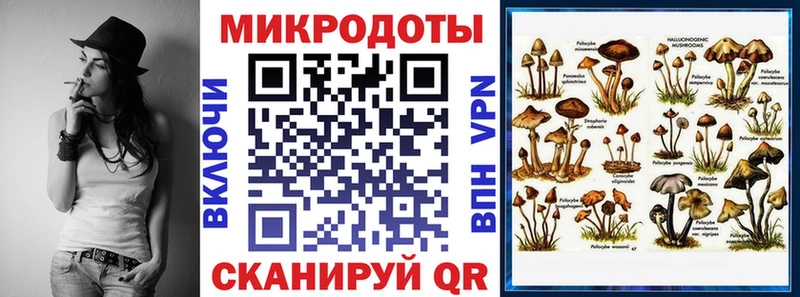 цены   Курск  Галлюциногенные грибы Cubensis 