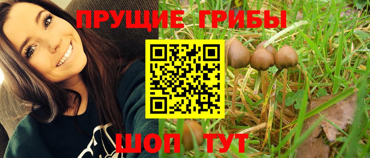 Галлюциногенные грибы мицелий  Вход с VPN  Курск 